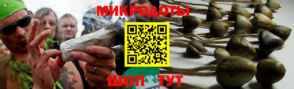 Артём  Псилоцибиновые грибы GOLDEN TEACHER  Вход с VPN 